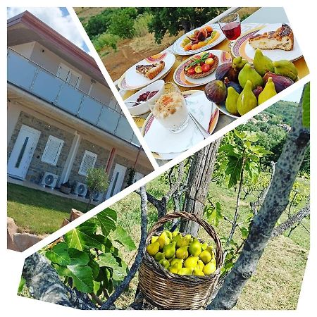 Casa Del Sole Bed and Breakfast Ceraso Εξωτερικό φωτογραφία