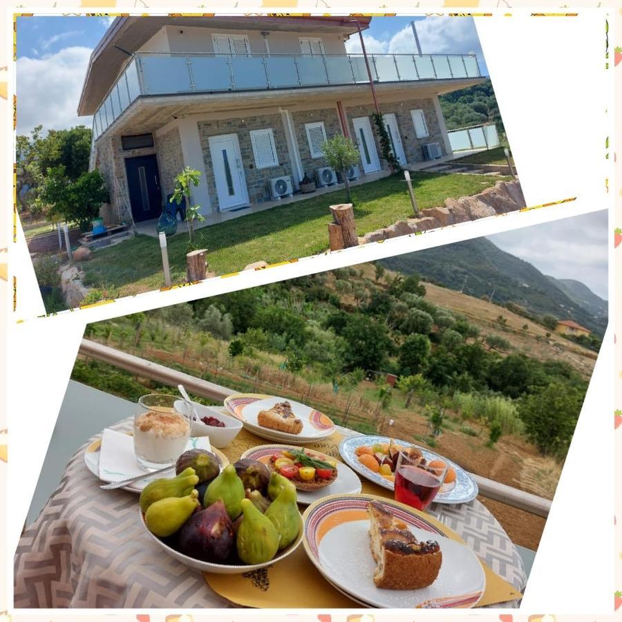 Casa Del Sole Bed and Breakfast Ceraso Εξωτερικό φωτογραφία